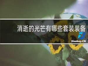 消逝的光芒有哪些套装装备