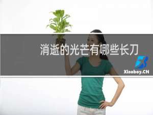 消逝的光芒有哪些长刀