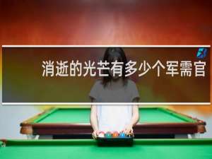 消逝的光芒有多少个军需官