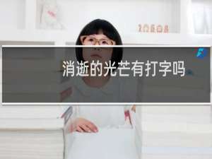 消逝的光芒有打字吗