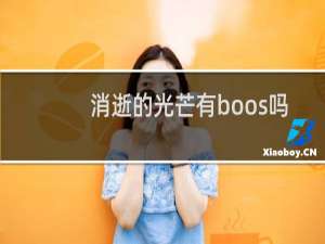 消逝的光芒有boos吗