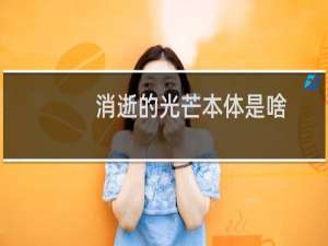 消逝的光芒本体是啥