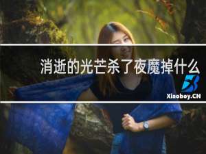 消逝的光芒杀了夜魔掉什么