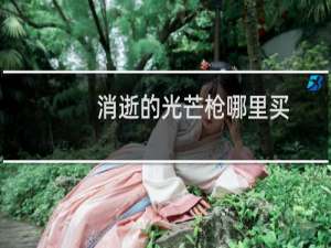 消逝的光芒枪哪里买