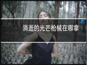 消逝的光芒枪械在哪拿