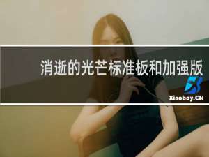 消逝的光芒标准板和加强版
