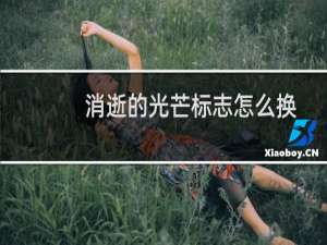 消逝的光芒标志怎么换