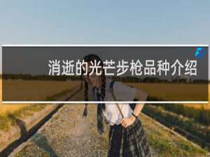 消逝的光芒步枪品种介绍