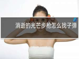 消逝的光芒步枪怎么找子弹