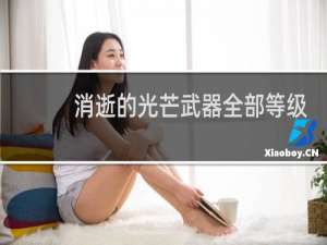 消逝的光芒武器全部等级