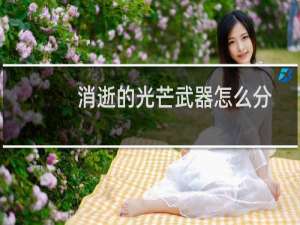 消逝的光芒武器怎么分