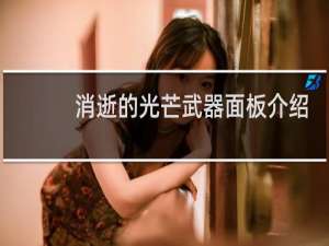 消逝的光芒武器面板介绍