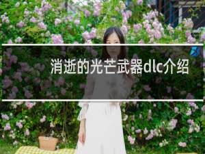 消逝的光芒武器dlc介绍