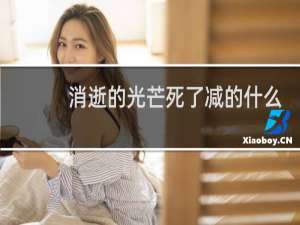 消逝的光芒死了减的什么