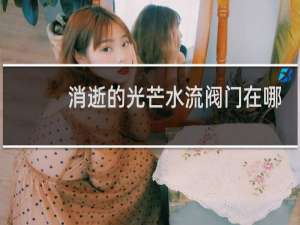 消逝的光芒水流阀门在哪