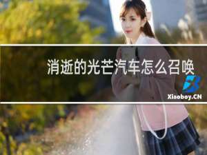 消逝的光芒汽车怎么召唤