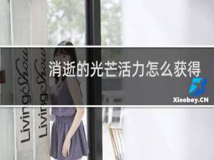 消逝的光芒活力怎么获得
