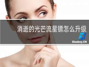 消逝的光芒流星镖怎么升级