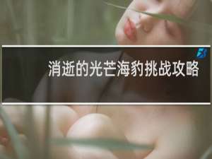 消逝的光芒海豹挑战攻略