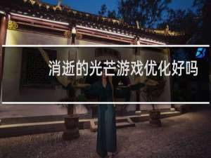 消逝的光芒游戏优化好吗