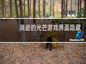 消逝的光芒游戏界面隐藏