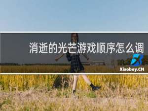 消逝的光芒游戏顺序怎么调