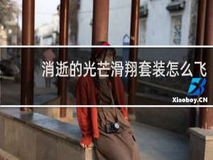 消逝的光芒滑翔套装怎么飞