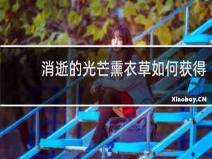 消逝的光芒熏衣草如何获得