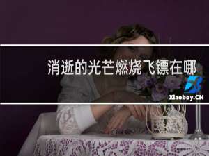 消逝的光芒燃烧飞镖在哪