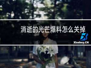 消逝的光芒爆料怎么关掉