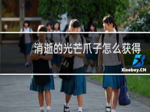 消逝的光芒爪子怎么获得