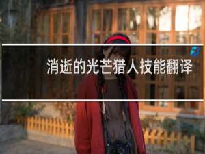 消逝的光芒猎人技能翻译