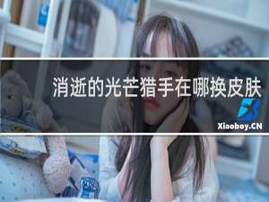 消逝的光芒猎手在哪换皮肤