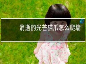 消逝的光芒猫爪怎么爬墙