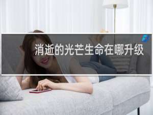 消逝的光芒生命在哪升级