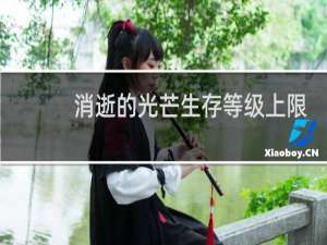 消逝的光芒生存等级上限