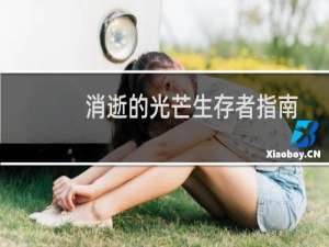 消逝的光芒生存者指南