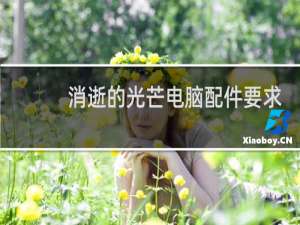消逝的光芒电脑配件要求
