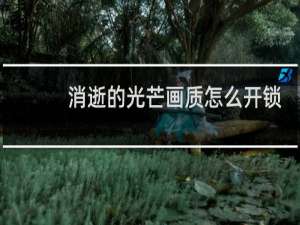 消逝的光芒画质怎么开锁