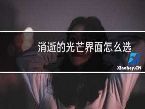 消逝的光芒界面怎么选