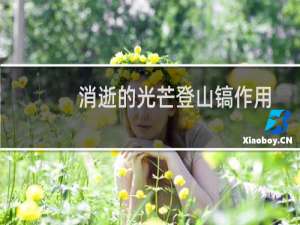 消逝的光芒登山镐作用
