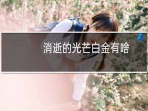 消逝的光芒白金有啥