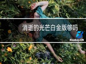 消逝的光芒白金版够吗