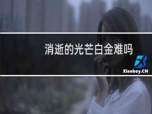 消逝的光芒白金难吗