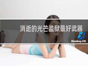 消逝的光芒监狱最好武器