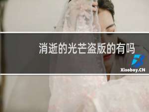 消逝的光芒盗版的有吗