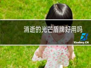 消逝的光芒盾牌好用吗