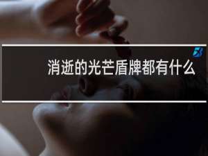 消逝的光芒盾牌都有什么