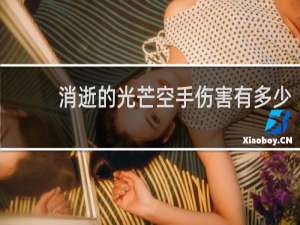 消逝的光芒空手伤害有多少