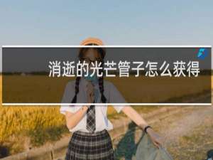 消逝的光芒管子怎么获得